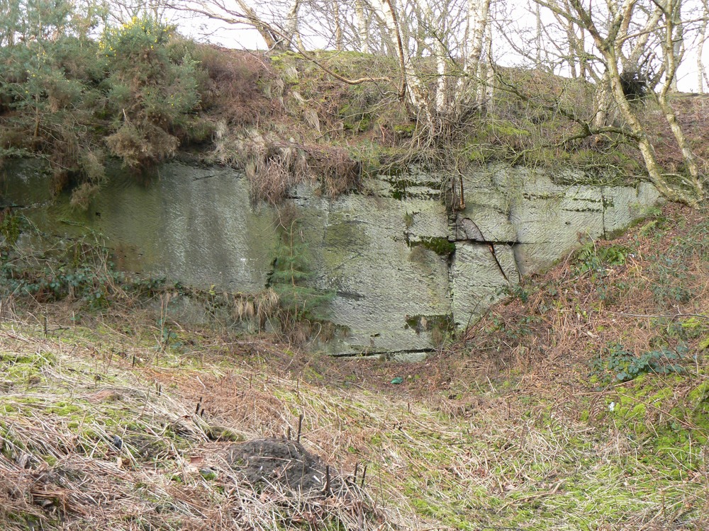 Old quarry 2